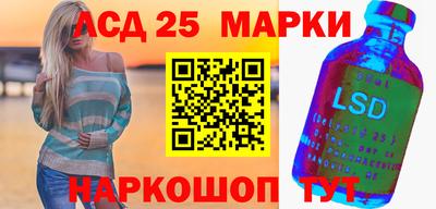 СК Кандалакша
