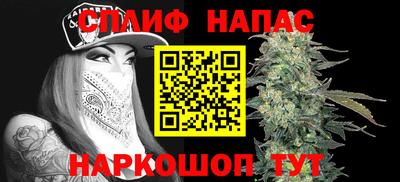 шишки Канаш